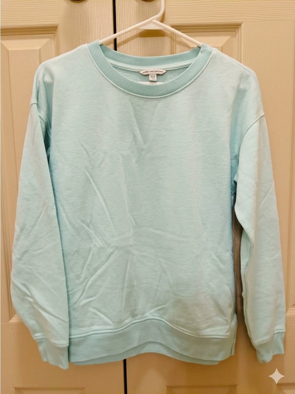 American Eagle Outfitters Woman’s Light Blue Crewneck Sweatshirt